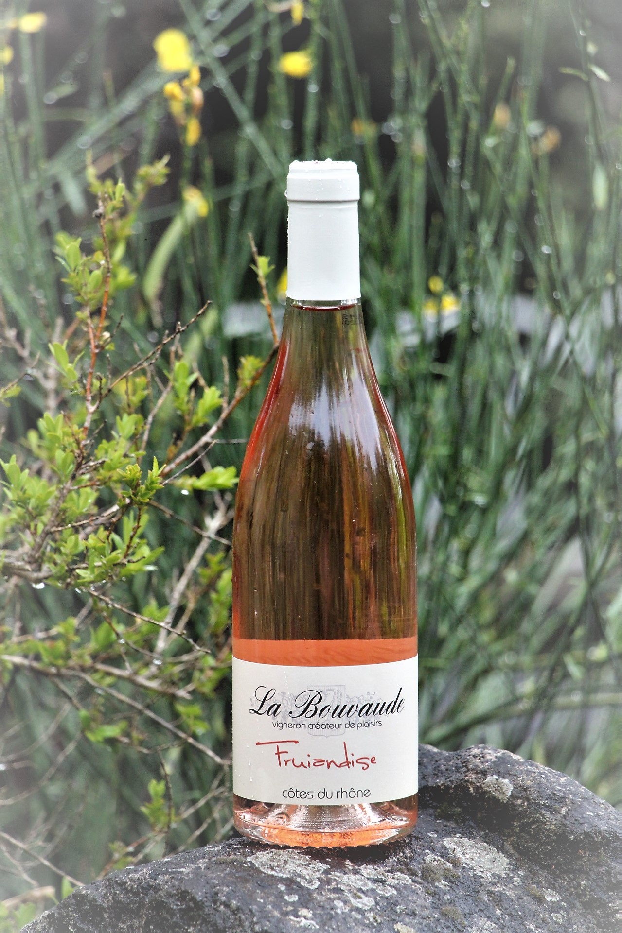 Bottle of rosé wine on a rock La Bouvaude Fruiandise Rousset les vignes